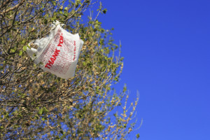 Ban plastic bags throughout the nation: ACT residents